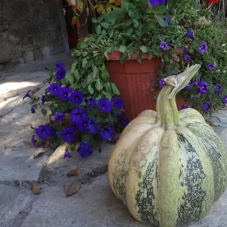 Gæstehus I Aneta 3*