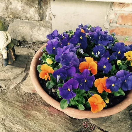 Gæstehus I Aneta Piechowice (Karkonosze)