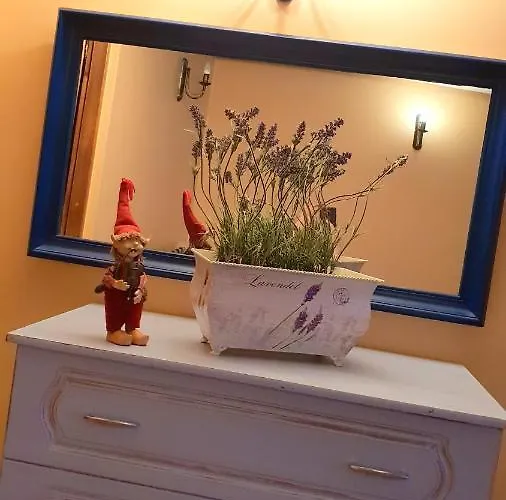 I Aneta Guest house 3*