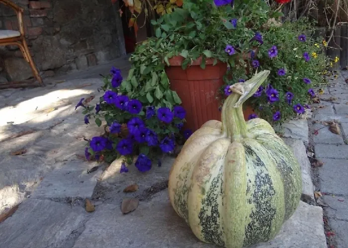 Guest house I Aneta 3*