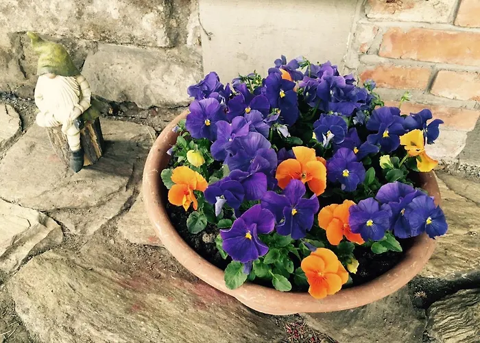 Guest house I Aneta Piechowice (Karkonosze)