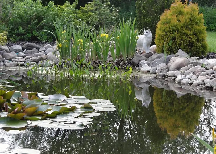 I Aneta 3* Piechowice (Karkonosze)