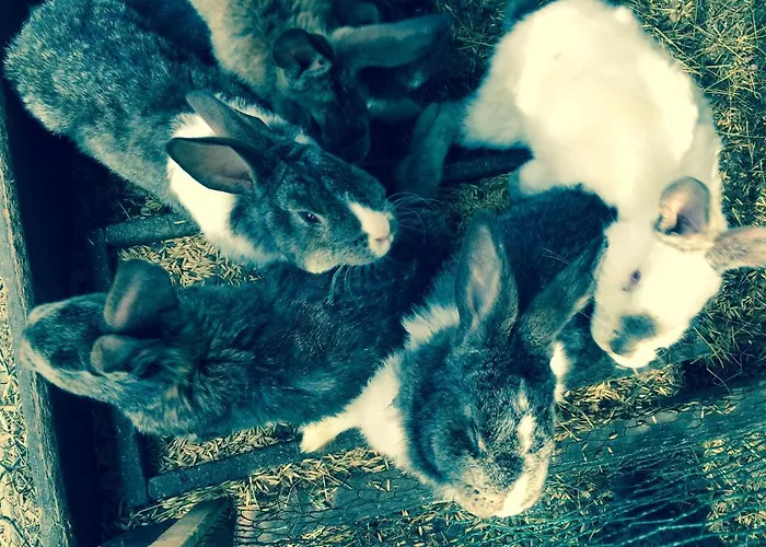 Guest house I Aneta Piechowice (Karkonosze)